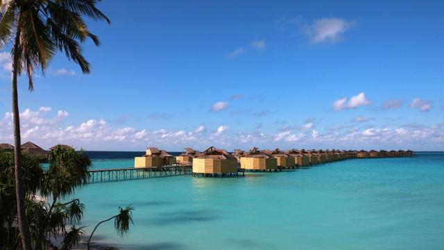 Экологический отель Six Senses Laamu расположен на острове Олувели (Olhuveli) в атолле Лааму (Laamu Atoll), в южной части Мальдивского архипелага, в 225 км от международного аэропорта Хулуле (города Мале). Отель Six Senses Laamu – единственный курорт на атолле Лааму, расположенный практически в середине Индийского океана и не отмеченном практически ни на одной карте. До него можно добраться за 1 час 10 минут (45 минут на самолете внутренних авиалиний до аэропорта Кадду + 25 минут на скоростном катере до отеля). Остров Laamu, с размерами 750 х 250 м, славится красивыми природными пейзажами из буйной островной растительности и потрясающих морских пейзажей, кристально чистой водой, белоснежным песчаным пляжем. Виллы курорта, созданные из экологически чистых материалов, предоставляют своим гостям удобство и комфорт. Каждый из отдыхающих сможет сам выбрать виллу для проживания по душе. В Six Senses Laamu одна часть вилл расположена на берегу, другая часть - над бирюзовыми водами лагуны. Для размещения гостей отель Six Senses Laamu предлогает 97, разных по площади и по комфортности, номеров:  - 26 Beach Villa (108 м²) - отдельно стоящие бунгало с индивидуальным участком пляжа, частично открытая ванная комната, ванна с видом на океан, обеденная зона на верхней террасе и обзорная площадка, частный садик с тахтой для отдыха (макс. проживание 3 или 2+1 чел.).  - 70 Water Villa (108 м²) - водные бунгало с панорамной террасой на верхнем уровне, частично открытая ванная комната со стеклянной ванной с видом на океан, собственный водный садик, надводный гамак, терраса с шезлонгами и тахтой, обеденная терраса с столом, обеденная зона на верхней террасе и обзорная площадка с тахтой для отдыха, (макс. проживание 3 или 2+1 чел.).  - 1 Two-Bedroom Beach Villa with Pool (185 м²) - 2 соединенные между собой виллы с террасой на верхнем уровне и индивидуальным участком пляжа. Частный садик с тахтой для отдыха, обеденная зона на верхней террасе и обзорная площадка, 2 спальни, частный бассейн, частично открытая ванная комната, ванна с видом на океан. (макс. проживание 4 + 2 чел.).  К оплате принимаются кредитные карты: Visa, MasterCard, American Express