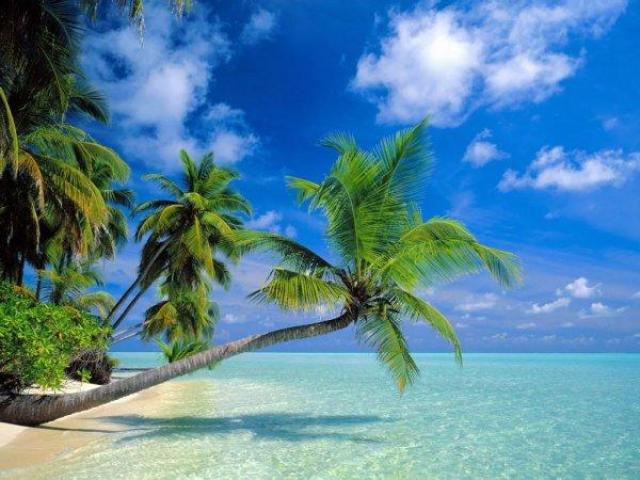 Где лучше отдохнуть на Мальдивах? 