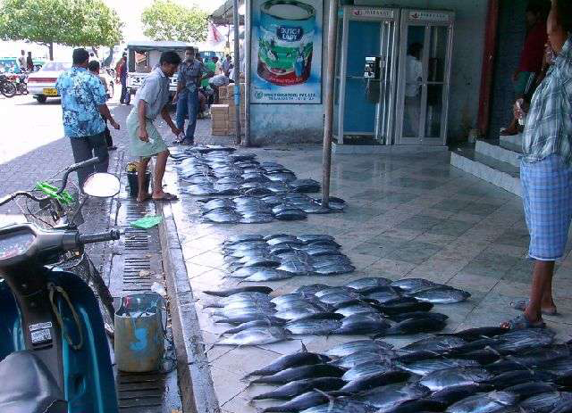 Морепродукты в жизни мальдивцев