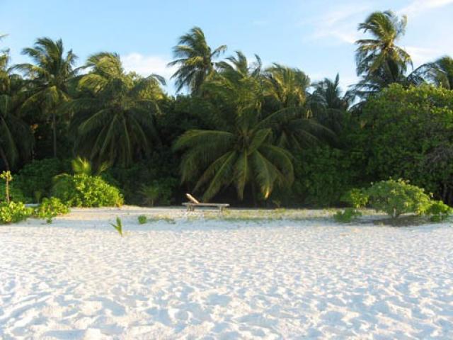 Погода на Мальдивских островах