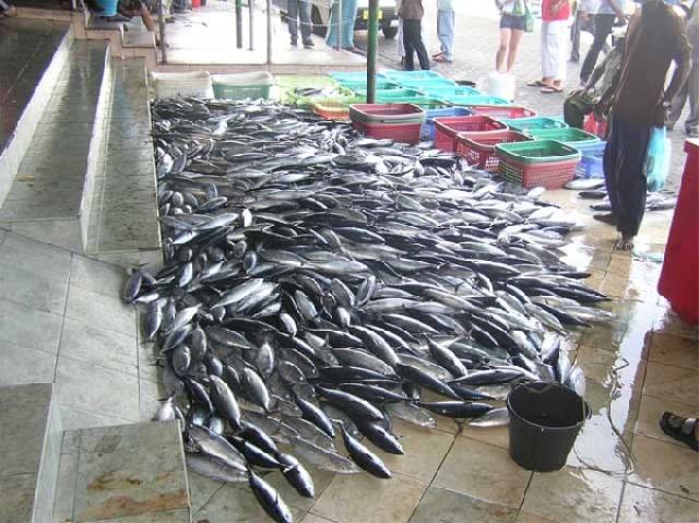 Морепродукты в жизни мальдивцев